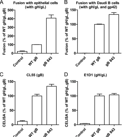 FIG 1 The EBV CTD truncation mutant gB843 has increased fusion activ-ity. (A) CHO-K1 cells were transiently transfected with the T7 luciferaseplasmid and a vector plasmid (control) or with the T7 luciferase plasmidand EBV gH and gL, together with gB or gB8