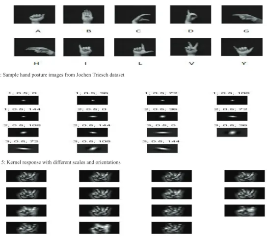 Figure 6: Gabor filter response of a typical hand gesture 