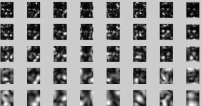 Figure 6. Magnitude of the convolution output of the sample image     