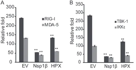 FIG 3 Reporter assay showing that the ORF1 HPX product inhibits IFN-induction. (A) The HPX product inhibits RIG-I- or MDA-5-activated IFN-induction