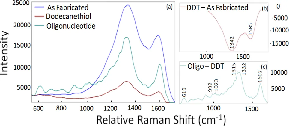 Figure 2.2. Raman signal from a nanogap created using single-stranded oligonucleotides as a molecular resist in the structure’s fabrication