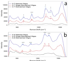 Figure 3.2.  Raman spectra comparing the averaged median intensities of single-stranded duplexes using the a) C-T and b) A-G sequences