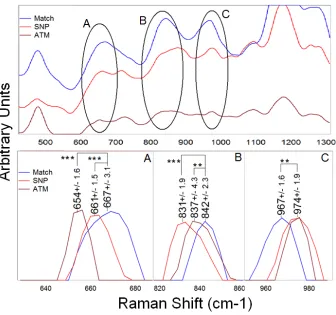 Figure 4.4.  Raman spectra highlighting the peak position shifts that occur when comparing the average matched sample to the SNP and ATM samples