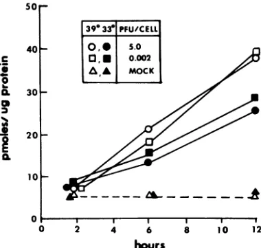 FIG. 1.0.1foreiticeldesL3shcvirnd Effect of multiplicity of viral infection onluction of TK activity from a4-TK gene chimeras in16 cells