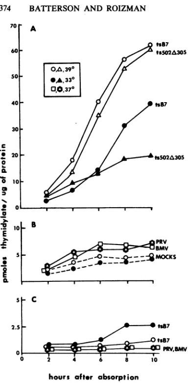 TABLE 1.supernatant TK activity of L316 cells exposed to fluids of lysates of Vero cells infectedwith HSV-1(F)ts502A305 at 33°C