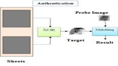 Fig. 2 Phase of Enrollment Process 