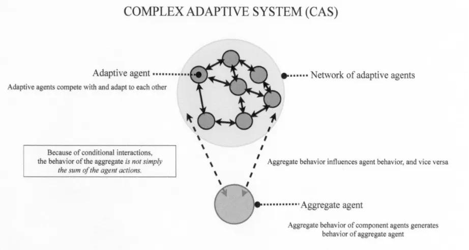 Figure 3: Holland’s model of complex adaptive systems. 