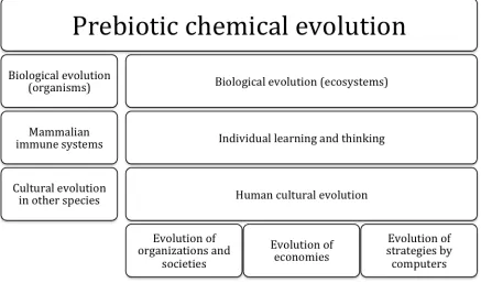 Figure 4: Gell-Mann schema for complex adaptive systems’ development in nature. 