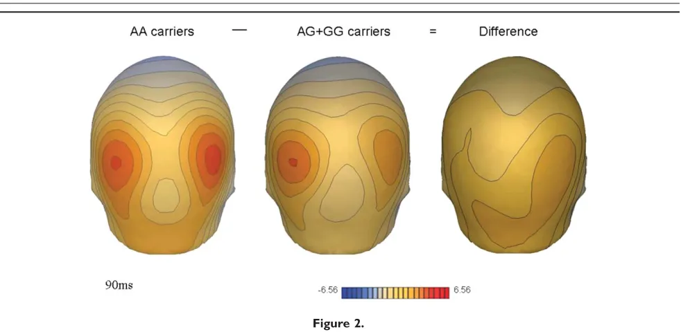 Figure 2.Mapping of the difference topography associated with NOS1 genotype. The grand averaged