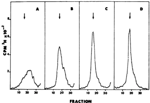 FIG. 5.gradientinactivitytimenatantchase.legendtween the Partitioning of radioactive CCV DNA be- supernatant and pellet fractions during a pulse- Infected cells were pulse-labeled as in the to Fig