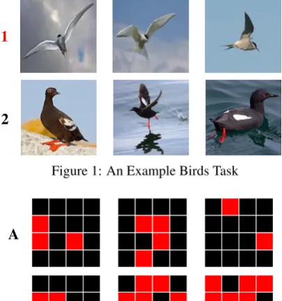Figure 1: An Example Birds Task