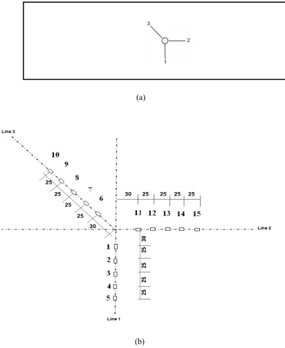 Figure 3.11: Strain gauge layout pattern for specimen SSP20D8 