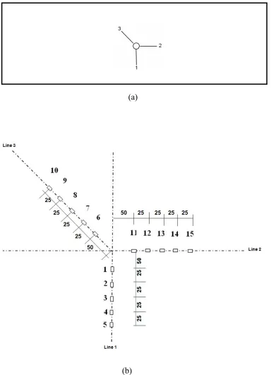 Figure 3.12: Strain gauge layout pattern for specimens SDP0D8, SDP20D8 and 