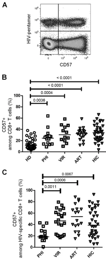 FIG 1 CD57 expression in CD8folded with HIV-derived peptides recovered from one HIV-infected patient.(B) CD57-expressing cells among CD8A