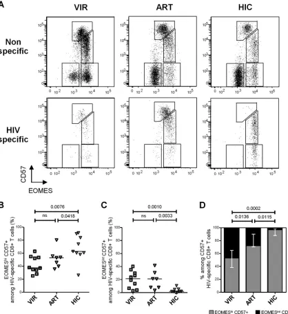 FIG 4 HIV-speciﬁc CD8patients. (D) Proportions of EOMESpatients.� T cells from HIV controllers present a peculiar EOMEShi CD57� phenotype