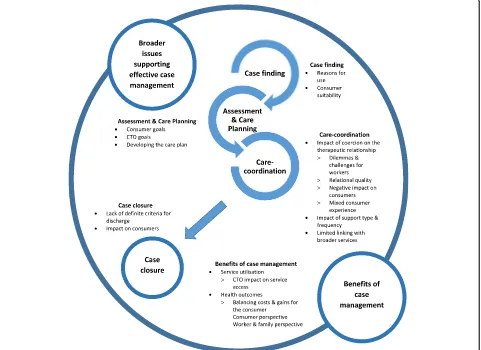 Fig. 2 Framework for findings related to case management for consumers on CTOs