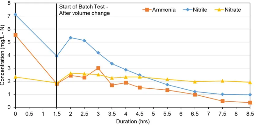 Figure 3-1.  Effluent from batch test, Nitrogen species concentrations for the clean media filter 