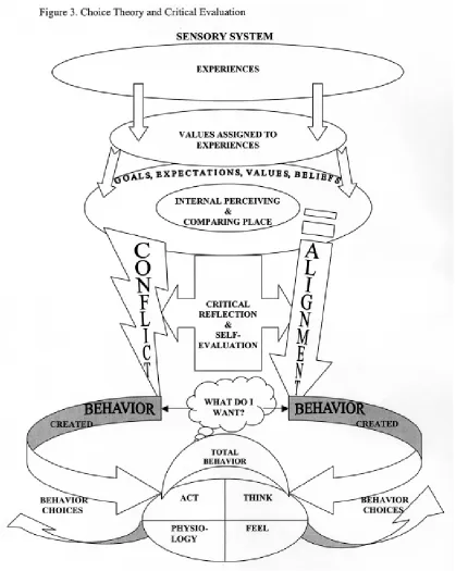 Figure 3: Critical Evaluation and Choice Theory 