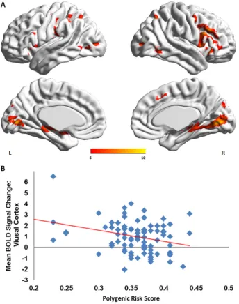 Fig. 1. A) Task related activation during the facial affect recognition task (at p b 0.05 Family Wise Error correction; peak MNI coordinates of suprathreshold clusters in Supplemental Table 1.B) Association between polygenic risk score for bipolar disorder and activation in the visual association cortex.