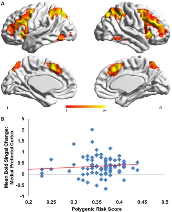 Fig. 2. A) Task related activation during the 2-back task (at p b 0.05 Family Wise Error correction; peak MNI coordinates of suprathreshold clusters in Supplemental Table 1