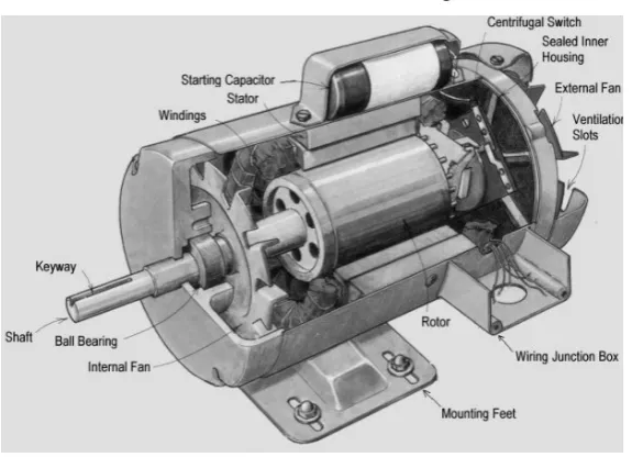 Figure 9: Squirrel cage induction motor cross section [14] 