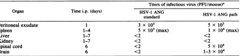 TABLE 1. Peripheral (i.p.) infection of mice with different HSV-1 stocks