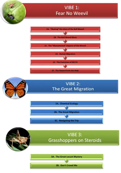 Figure 3.1.  Visual outline of VIBE assignment content 