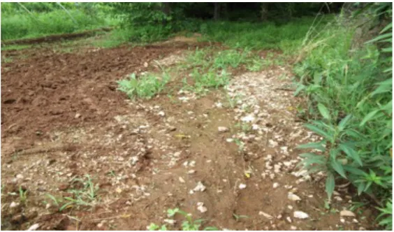 Figure 3.2 Damage from heavy precipitation  
