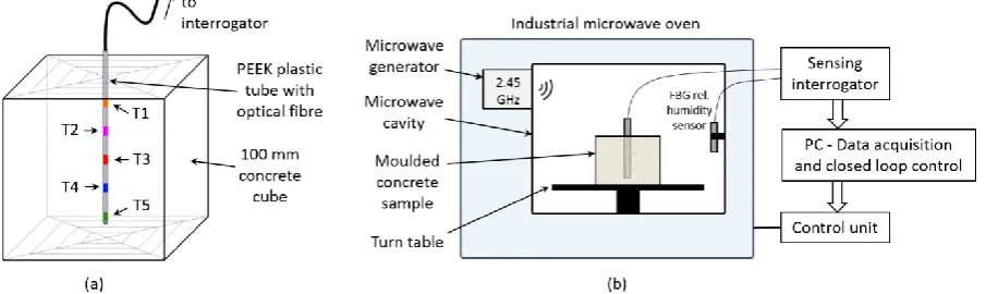 Figure 1. (a) Schematic of a 5-point multiplexed FBG sensor probe inserted into a 100 mm concrete sample cube as used in this  investigation