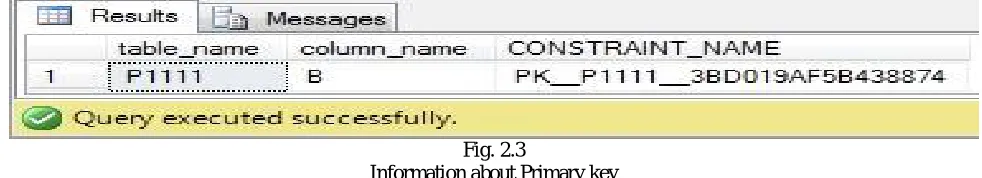 Fig. 2.3 Information about Primary key 
