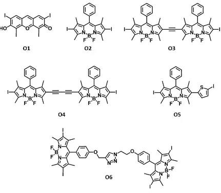 Figure 1.14: The structure of the organic triplet photosensitisers O1 to O6. 