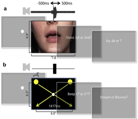 Fig. 2Figure 1. Trial sequence and stimuli for (a) McGurk and (b) Stream-Bounce  e Trial sequence and stimuli for McGurk (top row) and StreameBounce illusions (bottom).illusions