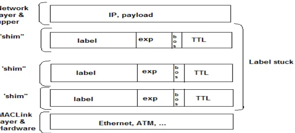 Figure 4: MPLS Label 