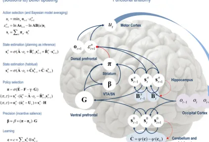 Fig.  to the web versionofaverages impliedthisterms assigned implementsstates(e.g.,perceptionin–hippocampalcycle,renderingoutcomesdependentuponaction.(Forinterpretationofthereferencestocolourinthisﬁgure associative plasticity inthe cerebellum)