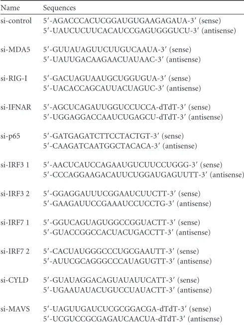 TABLE 1 Sequences of RNAi oligonucleotides used in the present study