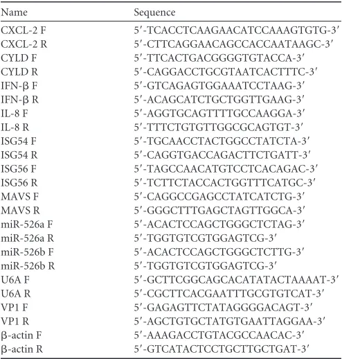 TABLE 2 Sequences of RT primers used in the present study