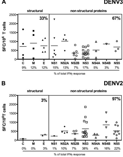FIG 3 Differential patterns of immunogenicity after infection with DENV3responses of individual epitopes derived from the three structural (capsid [C],compared to DENV2