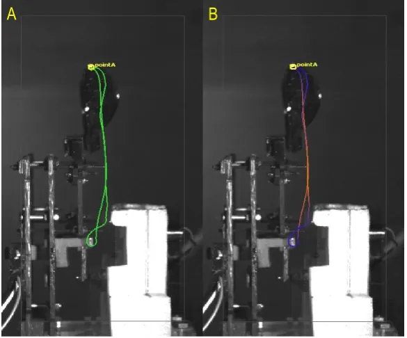 Figure 4.74: Wing Movement Comparison for Various Mylar Thickness’s and Lengths; A:Flapping Stroke