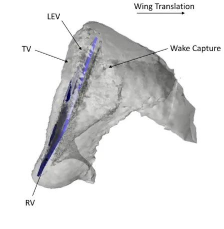 Figure 5.13: Flow Around The Rectangular Wing with Rotation Position D and Duration of 1.1s, Early