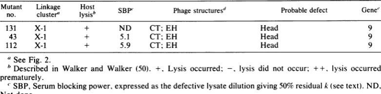 FIG.~~~~~~~~IAll 3. Micrograph of P1 am66 defective lysate. Inset shows a single particle from P1 am72 defective lysate