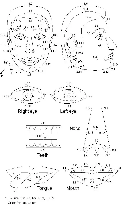 Figure 2.5: Feature points affected by FAPs and other Feature points [Koray04] 