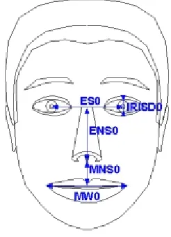 Figure 2.6: MPEG4 FAPU 