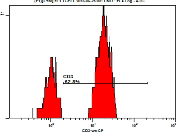 Figure 6. Dimensional flow cytometry (From lower left to upper right is red blood cell debris, lymphocytes, monocytes, neutrophils, where the aim region in lym-phocytes was T cells, NK cells).