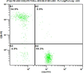Figure 8. CD434.9% and CD4+ cells and CD8+ cells parameter (The proportion of CD8+ cells was + cells were 59.3%).