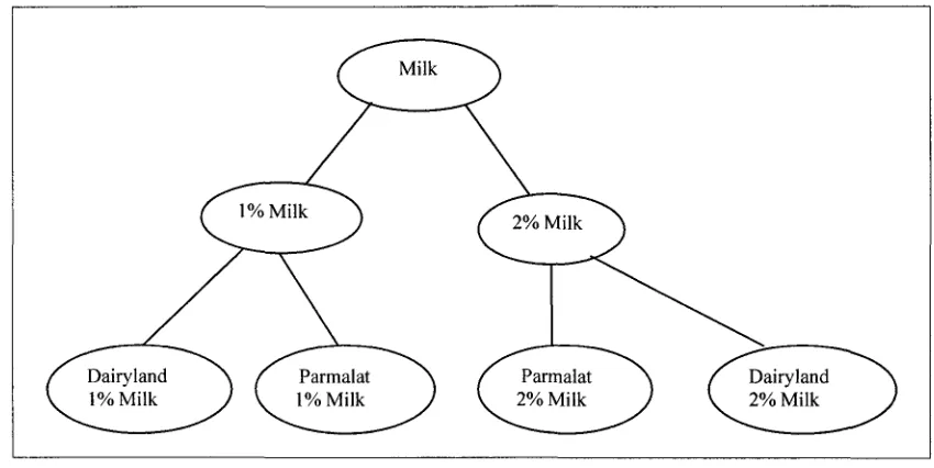 Figure 1.5 Concept hierarchy (class hierarchy) of Milk product 