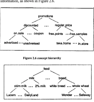 Figure 2.6 concept hierarchy 