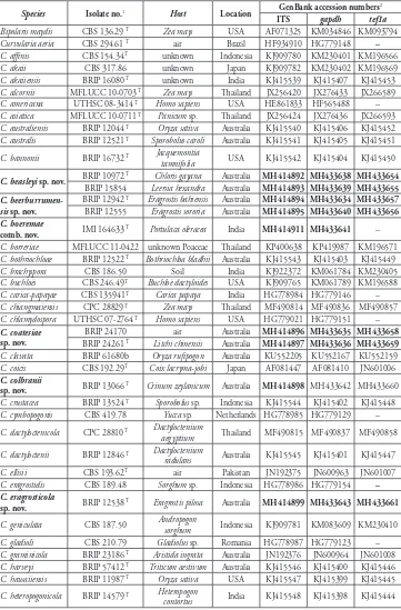 Table 1. Curvularia isolates examined.