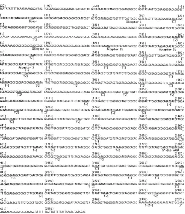 FIG. 2.translationandcoterminalmRNAs DNA sequence of the noncoding (message sense) strand of the HSV-1 region encoding the colinear under study