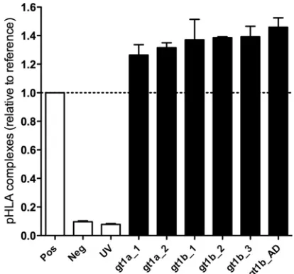 TABLE 1 Sequence variants of the NS3-A21406-1415 epitope in this study