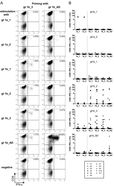 FIG 3 Primed peptide-speciﬁc CD8genotype 1b epitope variants, whereas CD8(left) or gt1b_AD (right) with all other epitope variants upon restimulation after 28 days
